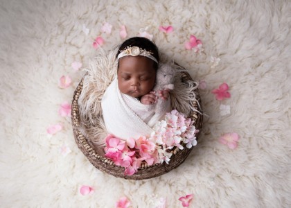 Aubrey 7491 copy