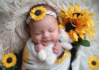 Brielle 4313 copy