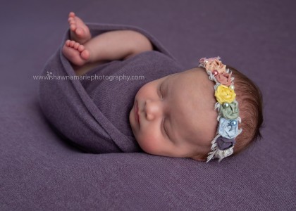 Brielle 4325 copy